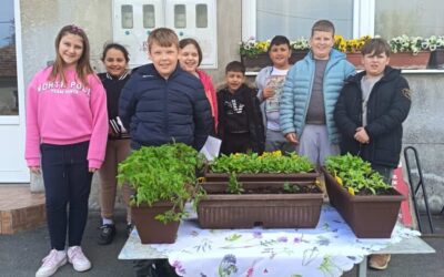 Eko festival u PŠ Suha Katalena!