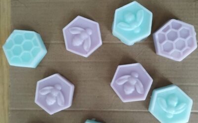 Radionica izrade sapuna